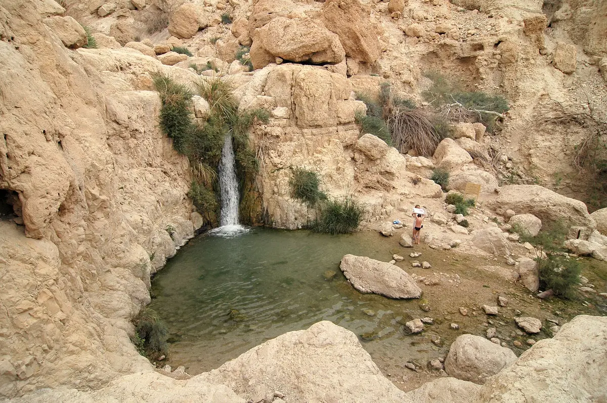 מפל הנופל מקיר סלע מכוסה צמחייה בקניון מדברי, מעל בריכה