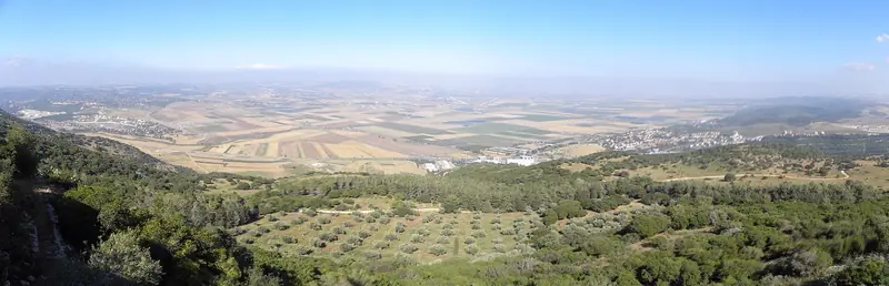 נוף ממרפסת על הר הכרמל אל עמק יזרעאל: שדות מעובדים, יישובים וגבעות הגליל תחת שמים מעוננים, ועלווה אדומה בחזית