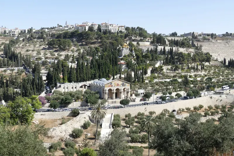 הר הזיתים