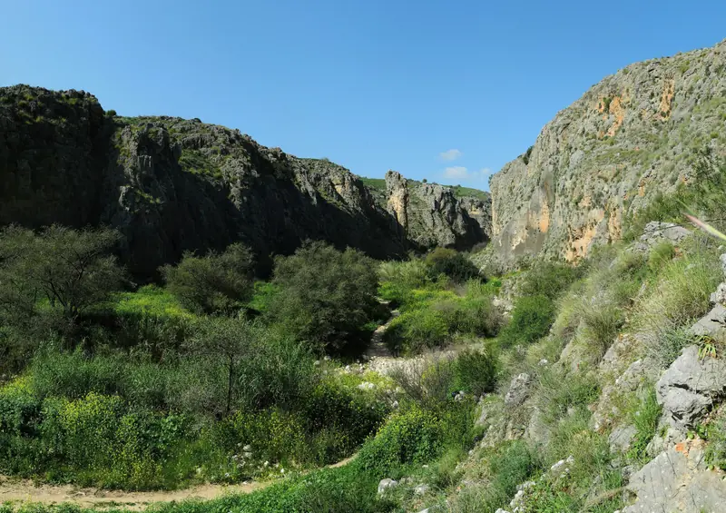 ערוץ סלעי בעמק התחתון של נחל עמוד בין שני מצוקים, ובו שביל בין צמחייה ירוקה ובמרכזו עמוד הסלע הטבעי שנתן לנחל את שמו