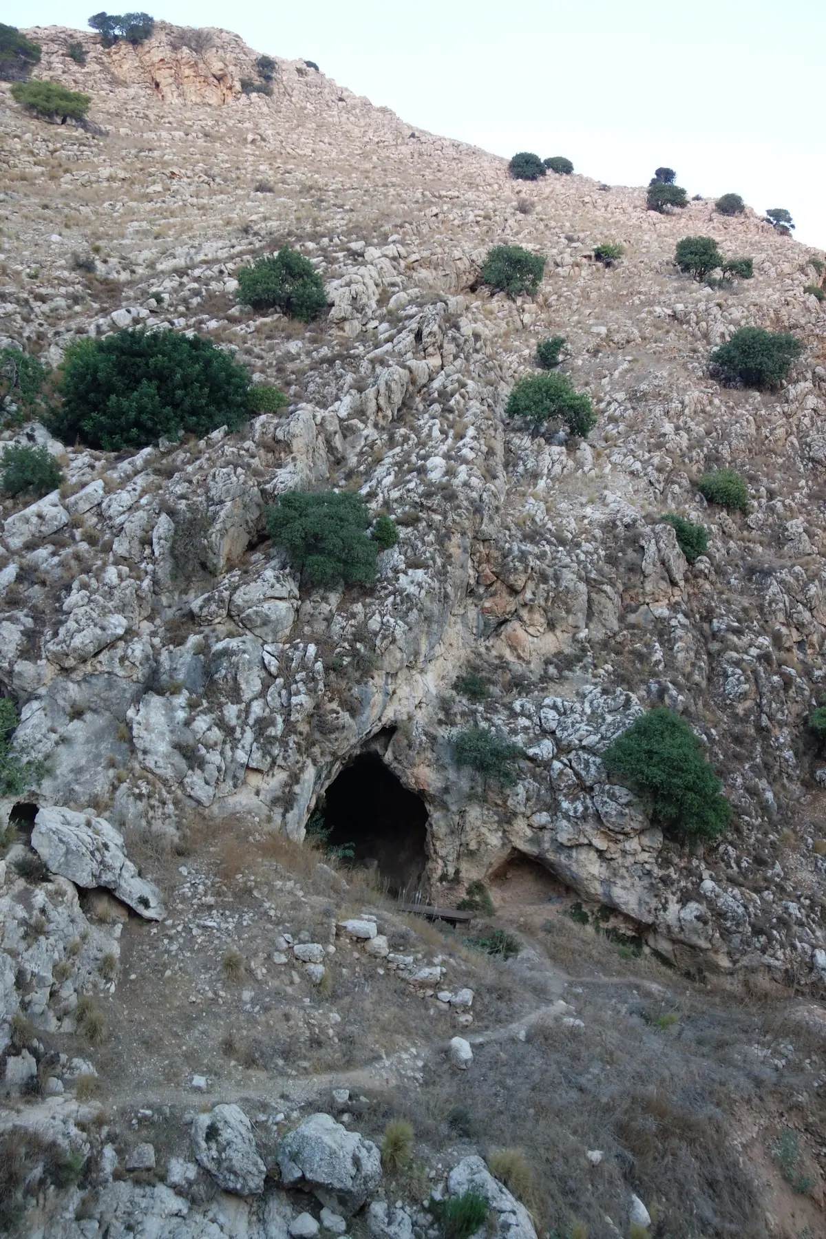 גבעת גיר סלעית מכוסה שיחים, ובתחתיתה פתח מערה כהה