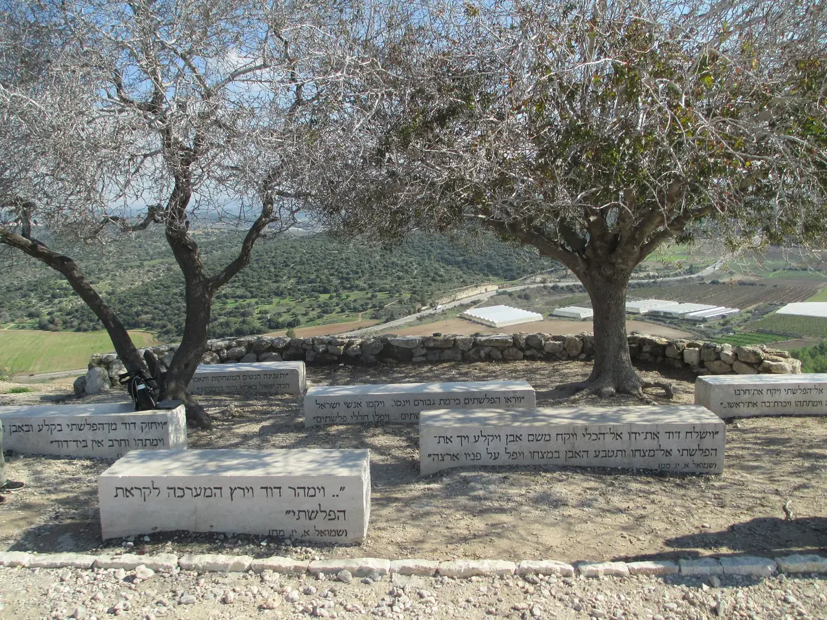 ספסלי אבן חקוקים בפסוקים בעברית תחת שני עצים, ליד גדר אבן מול העמק