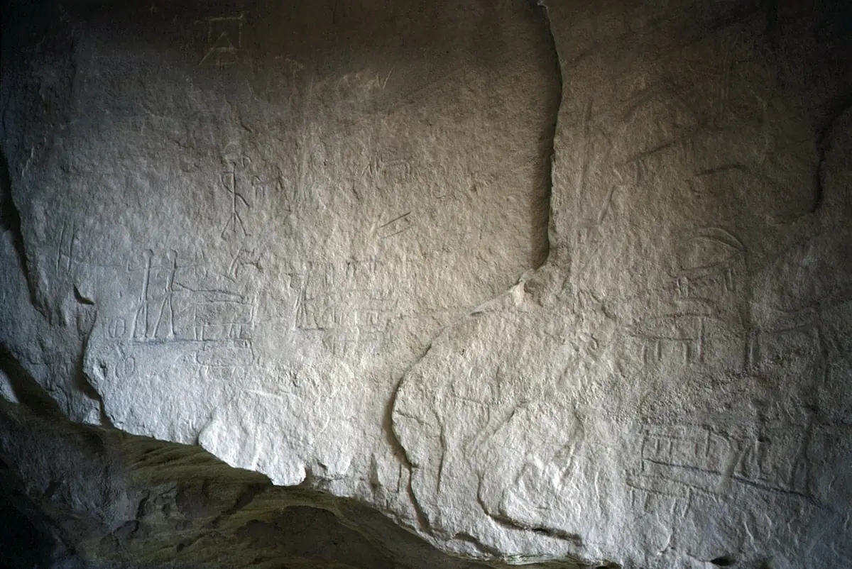 Pale sandstone wall covered with rock engravings: chariots, human figures and animals