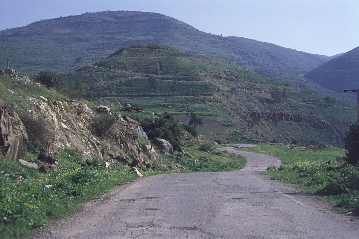 Collines verdoyantes de Tulul adh-Dhahab au printemps, traversées par un chemin